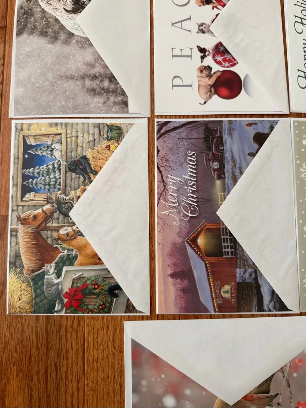 New Assorted Christmas & Holiday Greeting Cards Set of 10 with Envelopes